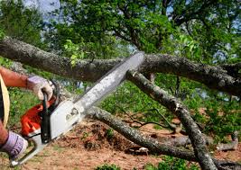 Best Leaf Removal  in Mchenry, IL